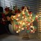 Upgraded Star Christmas Tree Topper for Christmas Decorations(Warm White)